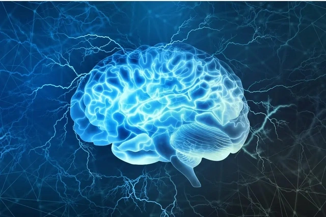 Ученые выяснили, без чего невозможна очистка мозга