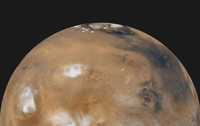 Земной пустынный мох оказался способен переносить марсианский климат