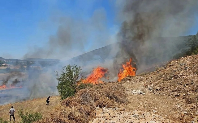 В турецкой Мугле загорелся лес: есть подозрение на диверсию