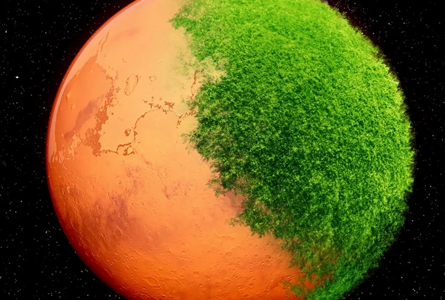 Qırmızı planetdə həyat: Alimlər Marsda yaşaya biləcək bitkini kəşf ediblər