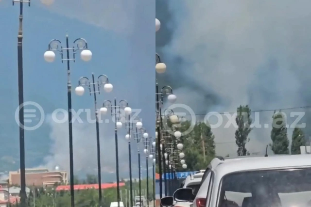 Пожар на ферме в Шеки потушен