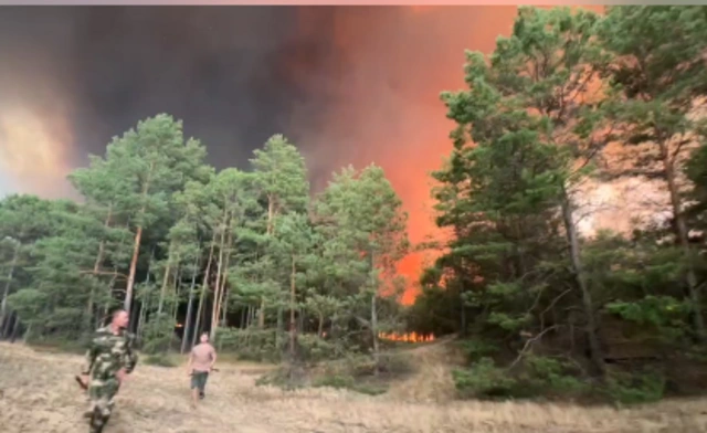 В Херсонской области начались сильные лесные пожары