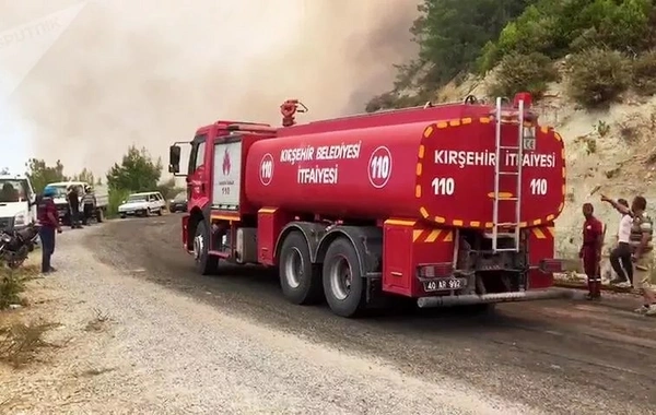 В турецком Измире вспыхнул лесной пожар