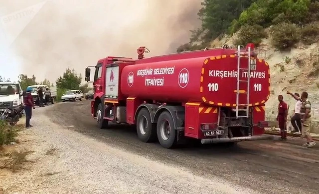 В турецком Измире вспыхнул лесной пожар