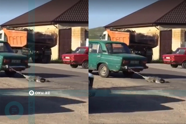 В Гедабейском районе водитель привязал собаку к машине и тащил ее по дороге