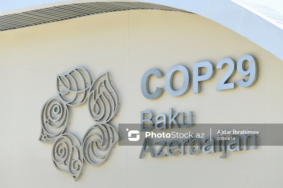 COP29-da iştirak üçün tərəflərə veriləcək viza ödənişsiz olacaq