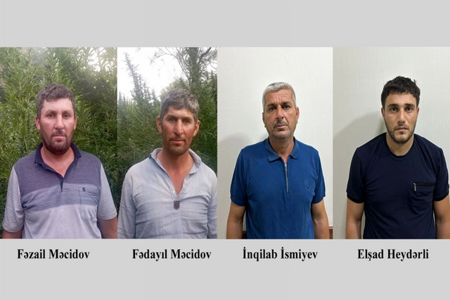 В Сабирабадском районе задержаны подозреваемые в выращивании конопли