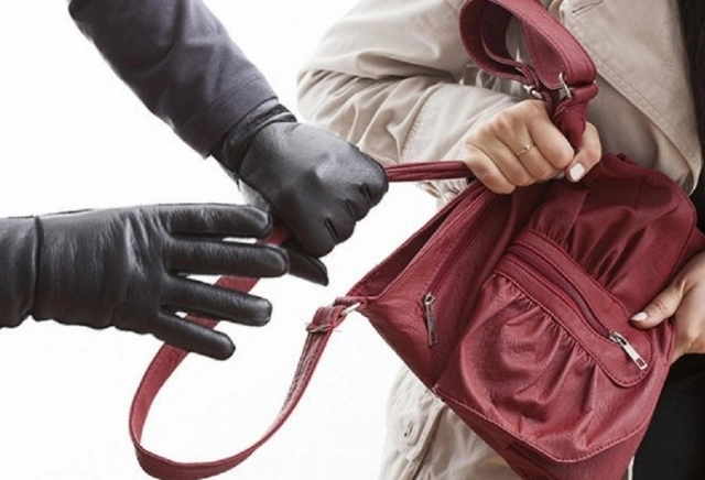 В Губе задержаны пытавшиеся силой отобрать сумку у женщины