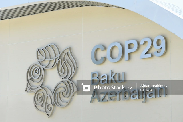 COP29 könüllüləri "Kiçik dostlarımız üçün təkrar istifadə" şüarı ilə ekoloji aksiya keçiriblər