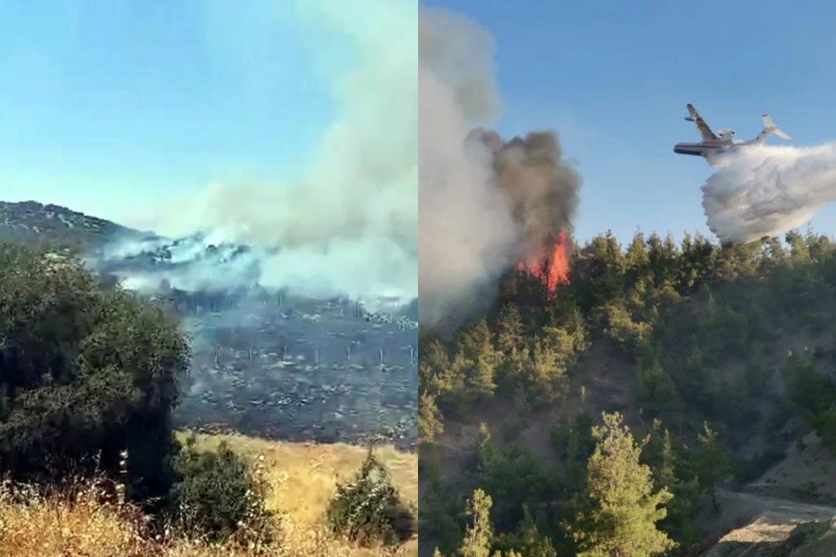 Kahramanmaraşda meşə yanğını başlayıb, əraziyə helikopterlər cəlb edilib