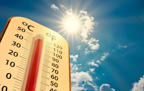 Зафиксирован самый жаркий день на Земле за последние 120 000 лет