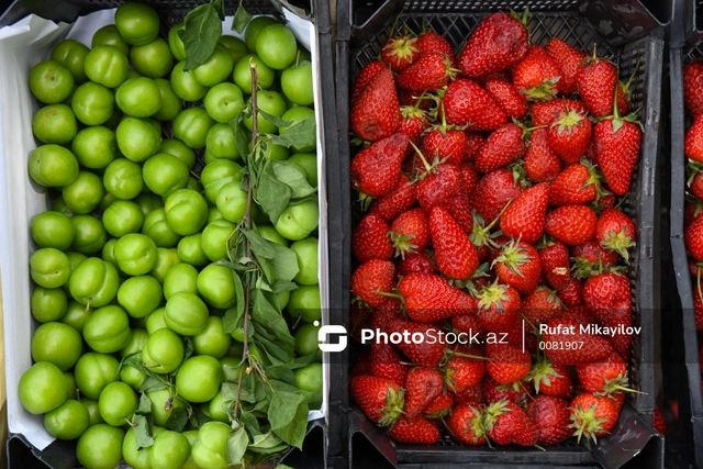 Сколько фруктов и овощей импортировано в Катар Торговым домом Азербайджана за последние 4 месяца?