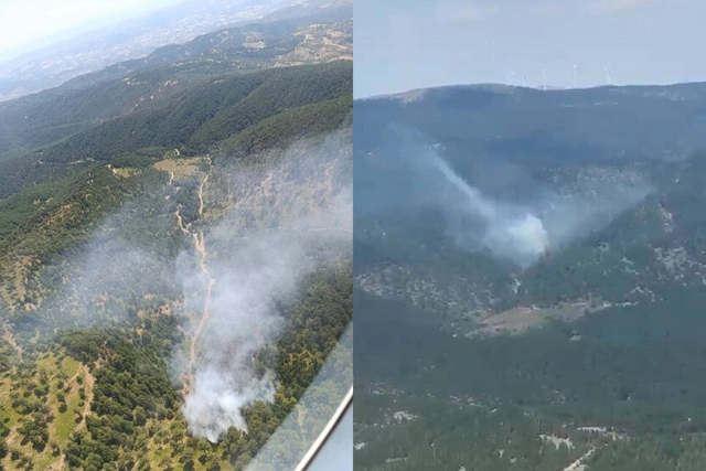 В двух провинциях Турции вспыхнули лесные пожары