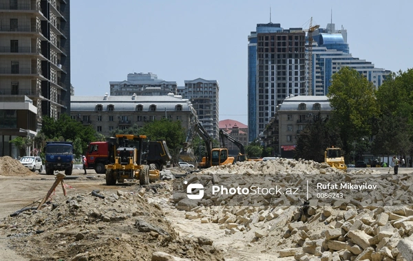 На месте моста Джаваншира будут удалены засохшие деревья