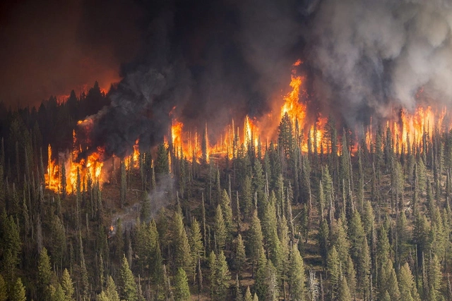 Площадь пожаров в Якутии превысила 1 млн га