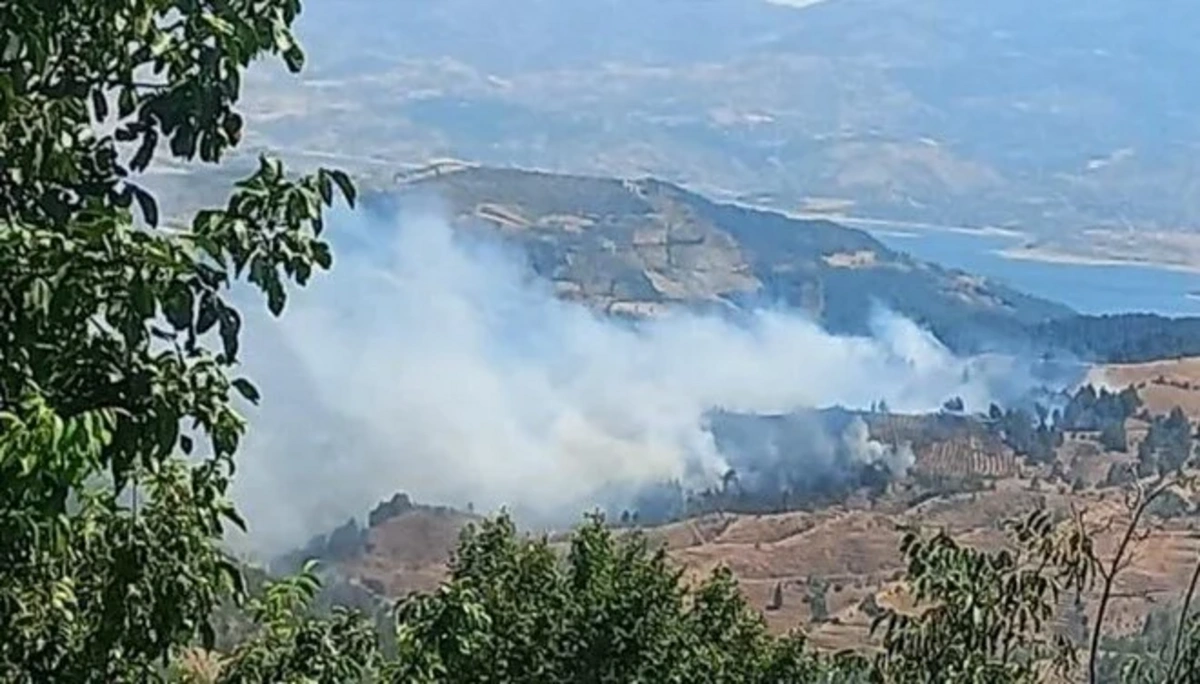 Türkiyənin Kahramanmaraş vilayətində meşə yanır