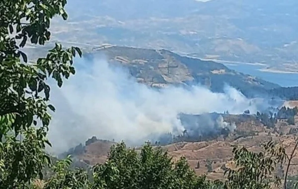 Türkiyənin Kahramanmaraş vilayətində meşə yanır