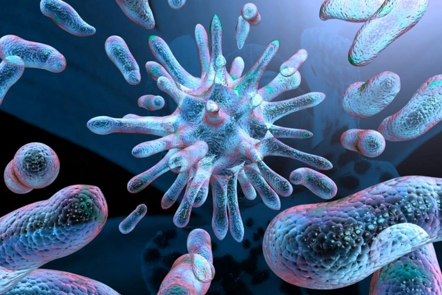 В ВОЗ предупредили о быстром распространении опасной для жизни супербактерии