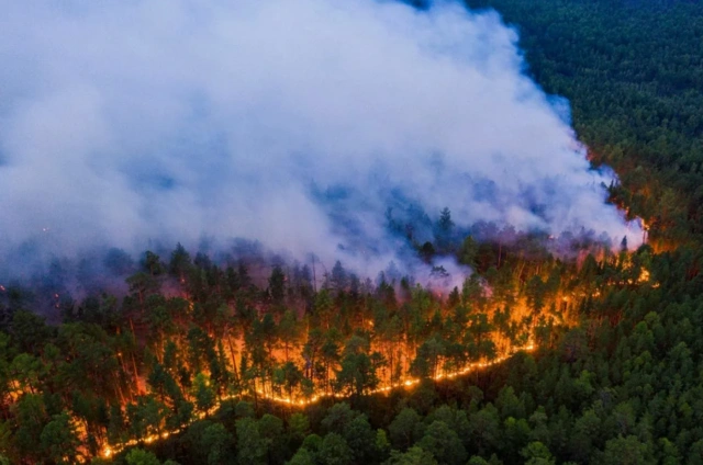 В России горит более 7 500 га леса