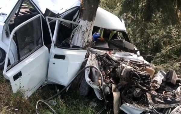 В Бейлаганском районе автомобиль врезался в дерево: есть пострадавший