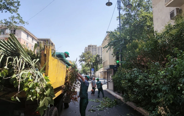 Подрезаны ветки деревьев, перекрывающих видимость дорожных знаков