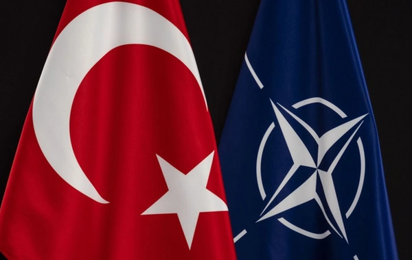 Türkiyəsiz NATO-nu gözləyən perspektiv: Ankaranı razı salmaq niyə vacibdir?