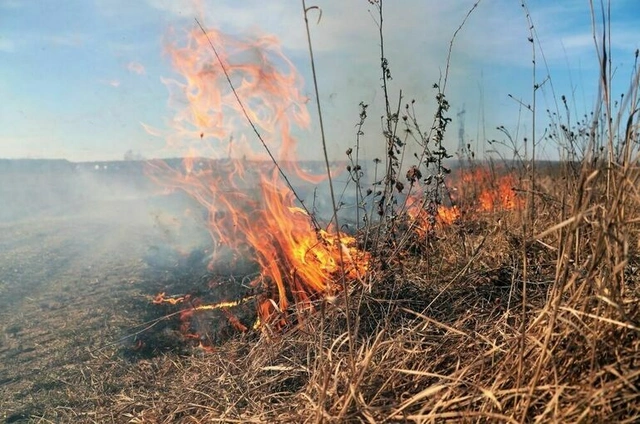 В Турции поджигатель лесного массива попал на камеры видеонаблюдения