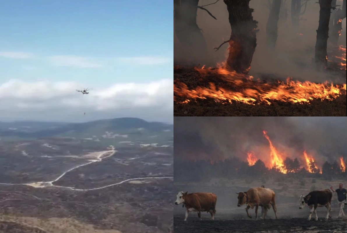 Boluda meşə yanğınından zərər çəkən ərazilər dronla görüntüləndi: Dəhşətli mənzərələr