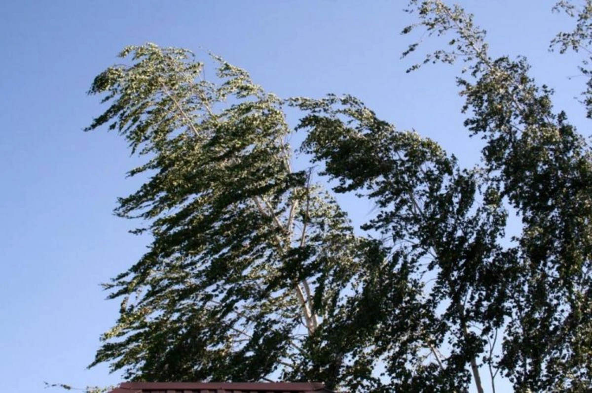 Növbəti günlərdə ölkə ərazisindəki hava şəraiti ilə bağlı XƏBƏRDARLIQ