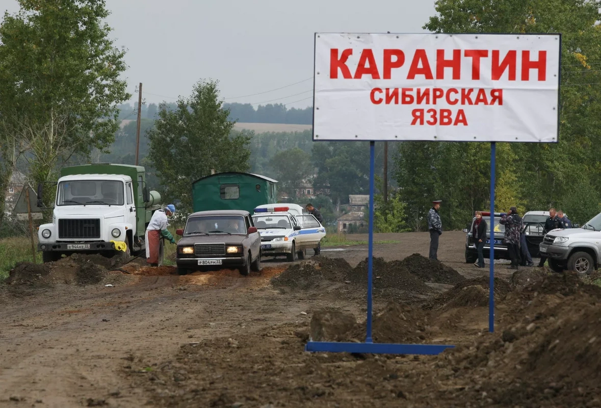 Карантин из-за сибирской язвы ввели в одном из сел Алматинской области