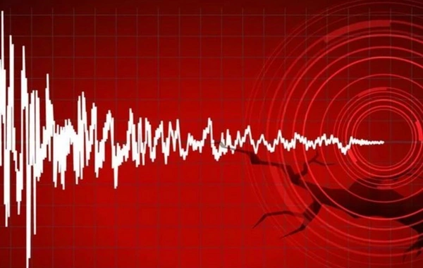 В Новой Зеландии произошло сильное землетрясение