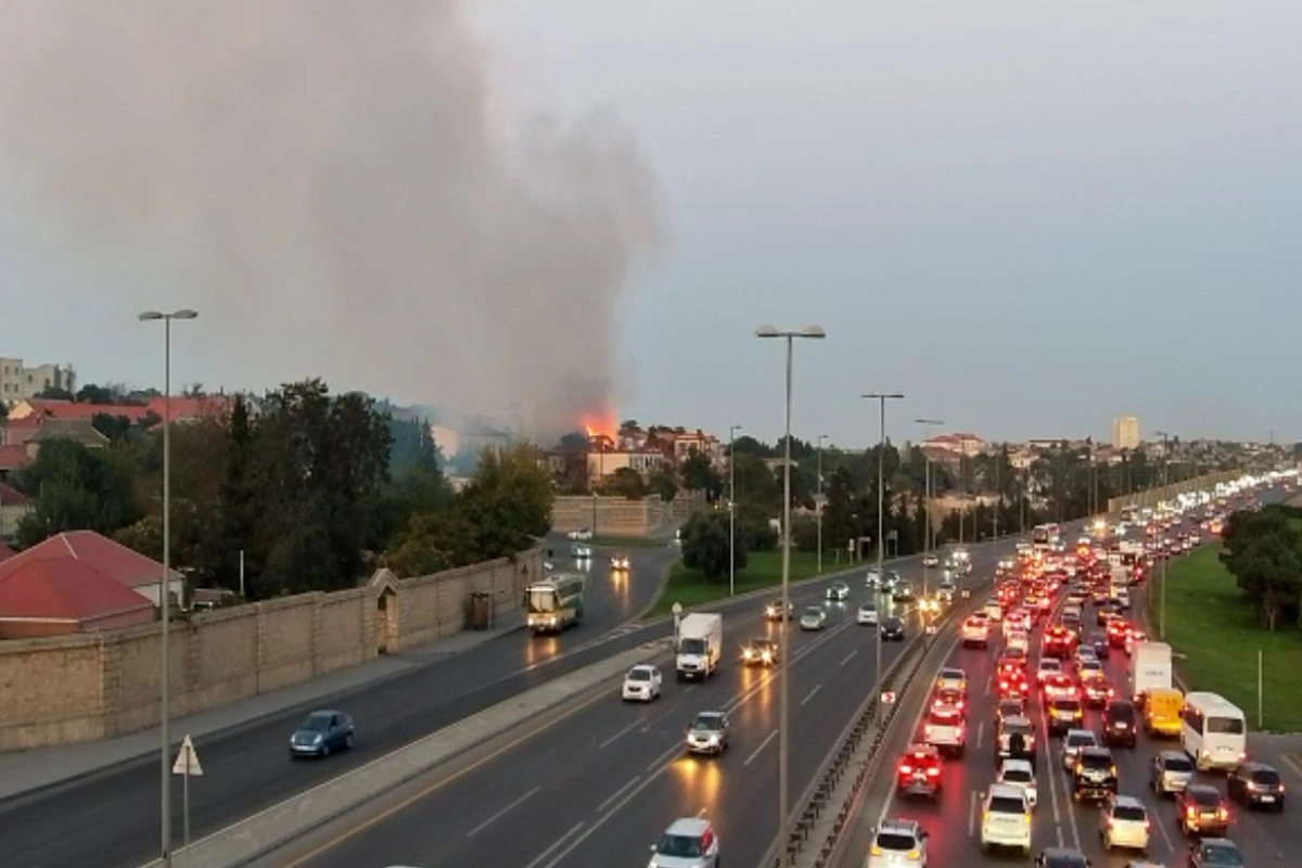 Bakıda ağaclıq sahədə baş vermiş yanğın söndürülüb