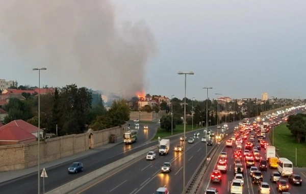 Bakıda ağaclıq sahədə baş vermiş yanğın söndürülüb