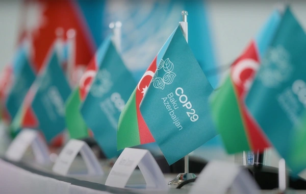 "COP29-la bağlı şəffaflığın təmin edilməsi Azərbaycanın bu məsələyə ciddi yanaşdığını göstərir"