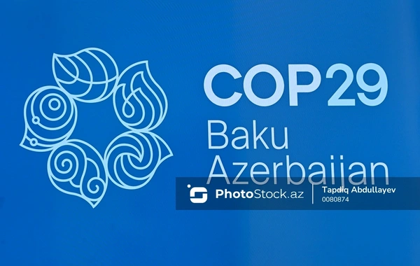 COP29 запустил инициативы, направленные на ускорение действий по борьбе с изменением климата