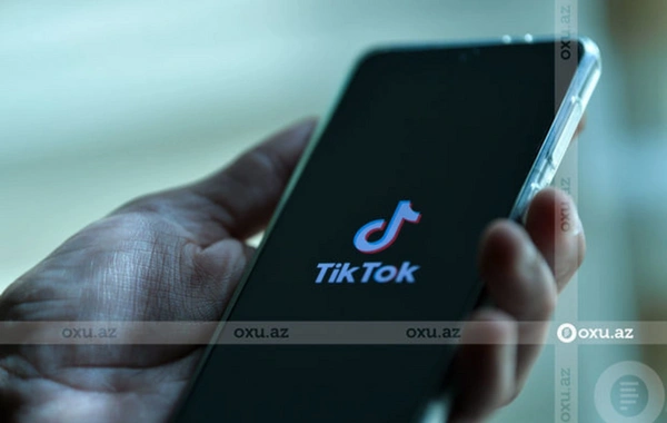 Qohumlarının onminlərlə manatını alıb "TikTok"da xərclədi