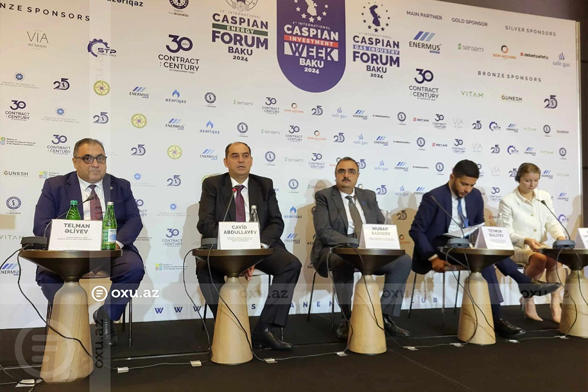 Qarabağ və Şərqi Zəngəzurda yaşıl enerjiyə keçid necə olacaq?