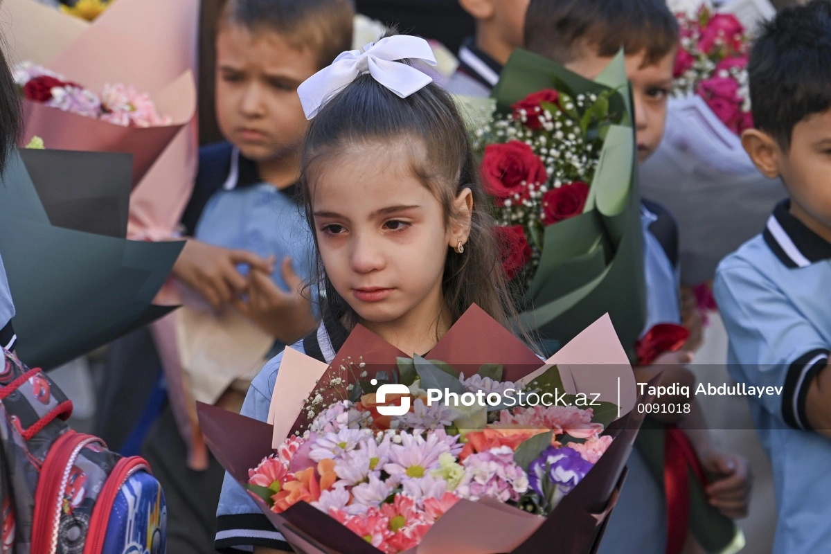 Məktəb tükənmişliyi, aqressiya, mənəvi sağlamlıq - Şagirdlər hansı testlərdən keçirilməlidirlər?