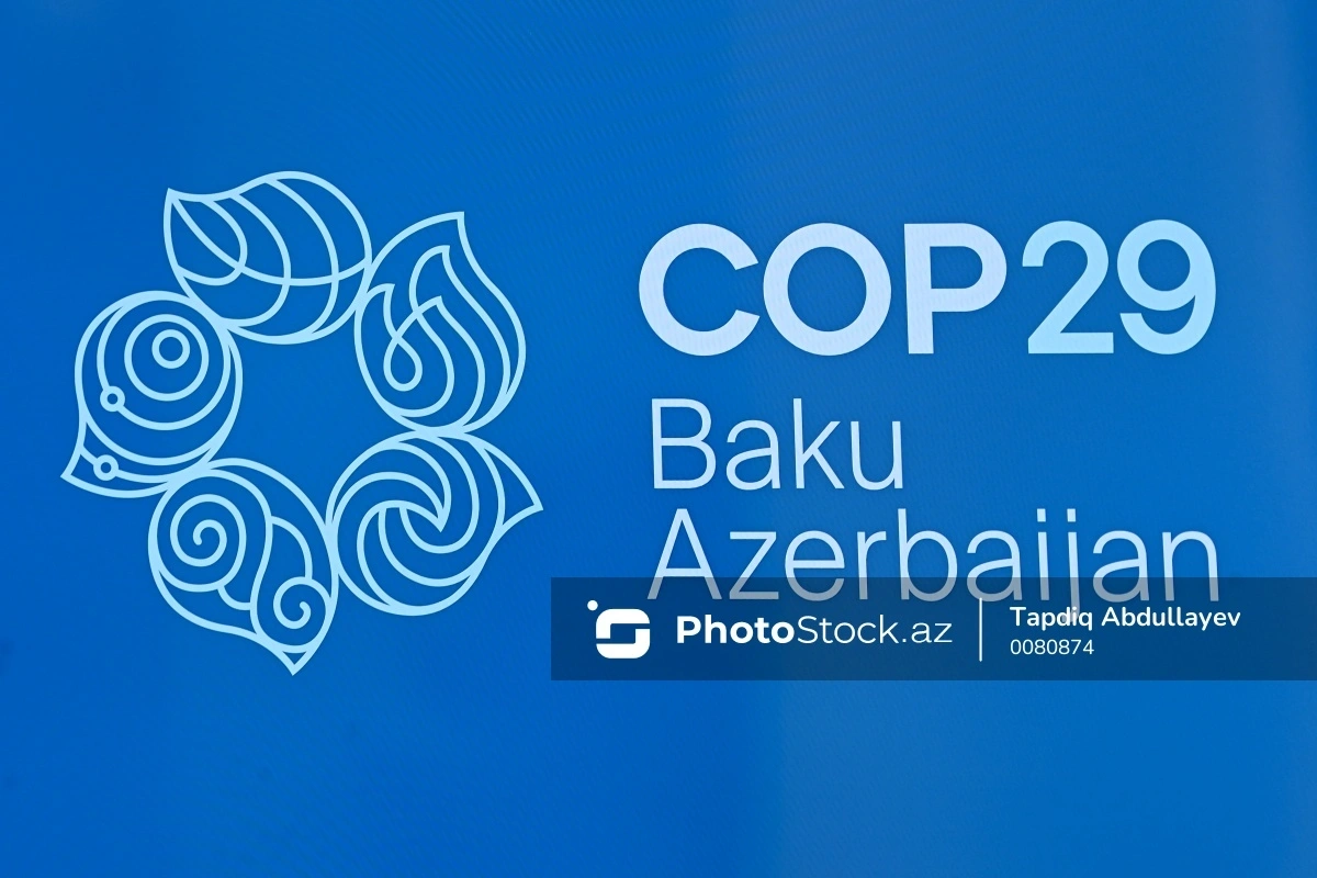 Ekspert: "COP29-dan yeni iqlim maliyyəsi hədəfləri üzrə irəliləyiş gözləyirəm"