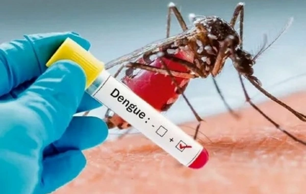 Efiopiyada denge epidemiyası: Səhiyyə sistemi çökür