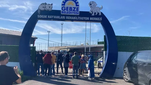 Gebze'de sokak hayvanları rehabilitasyon merkezi'nde vahşet: 45 hayvan iğneyle öldürüldü