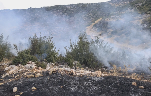 Gaziantep'te korkutan orman yangını