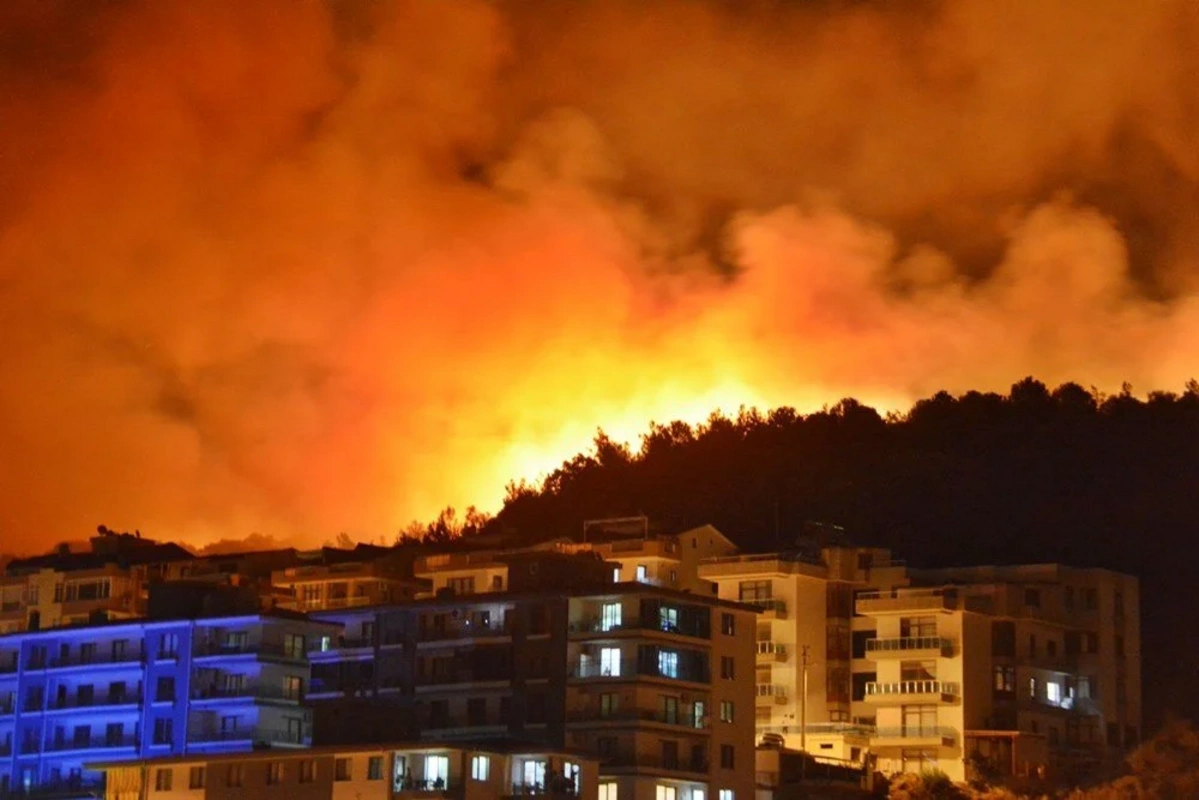 İzmir Dikili'de orman yangını kontrol altına alındı