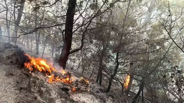 Muğla yanıyor: 3 ayrı bölgede yangın