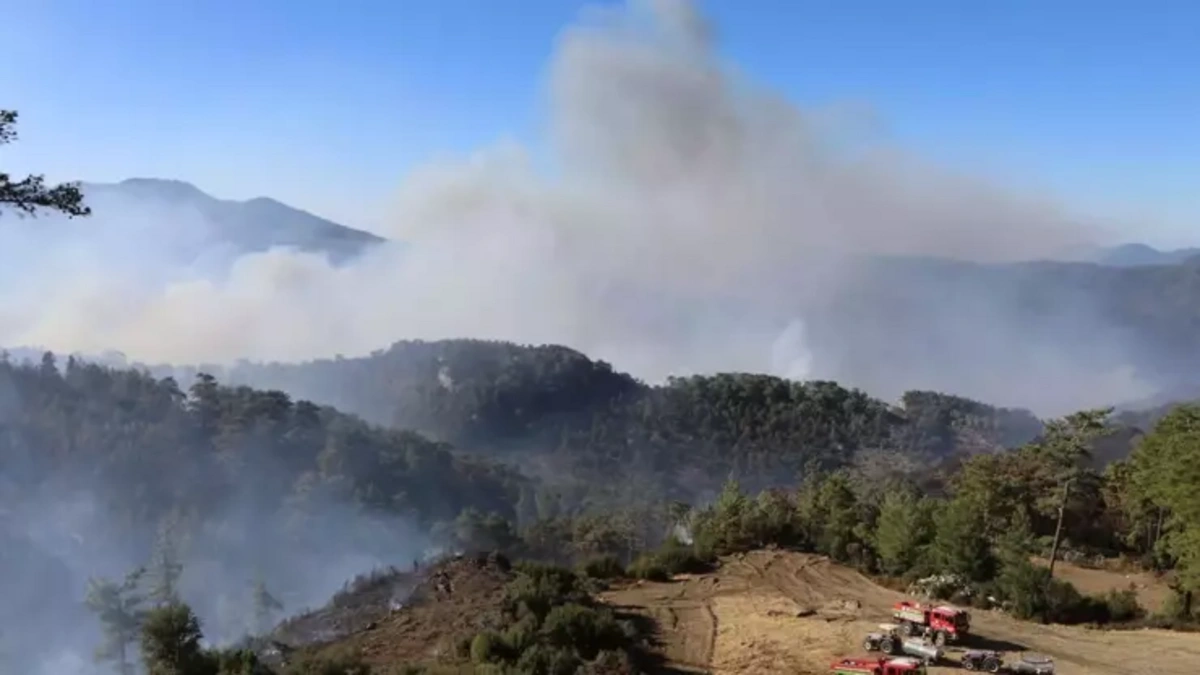 Muğla'da 2 noktada yangın: Müdahale sürüyor