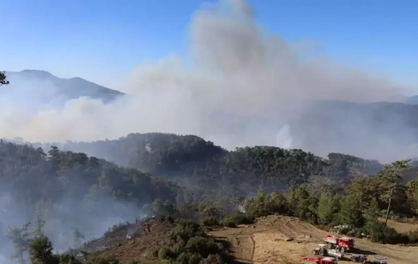 Muğla'da 2 noktada yangın: Müdahale sürüyor