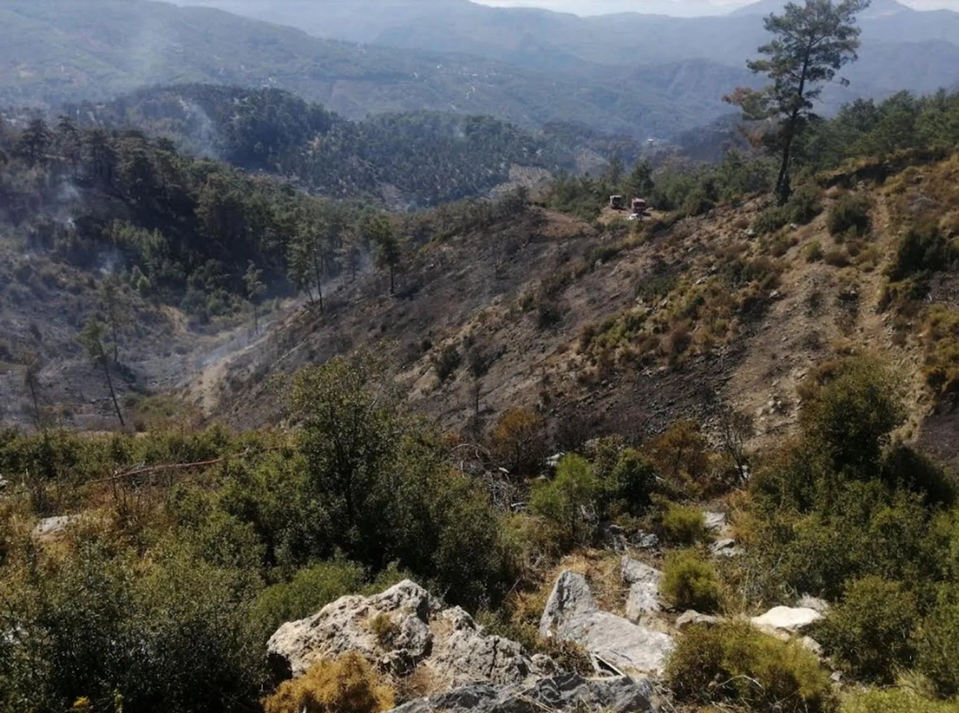 Muğla'da orman yangını 3 gündür sürüyor