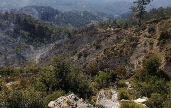 Muğla'da orman yangını 3 gündür sürüyor