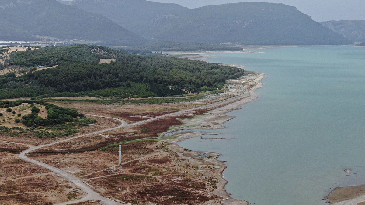 İzmir'de tehlike kapıda: Durum giderek ciddileşiyor