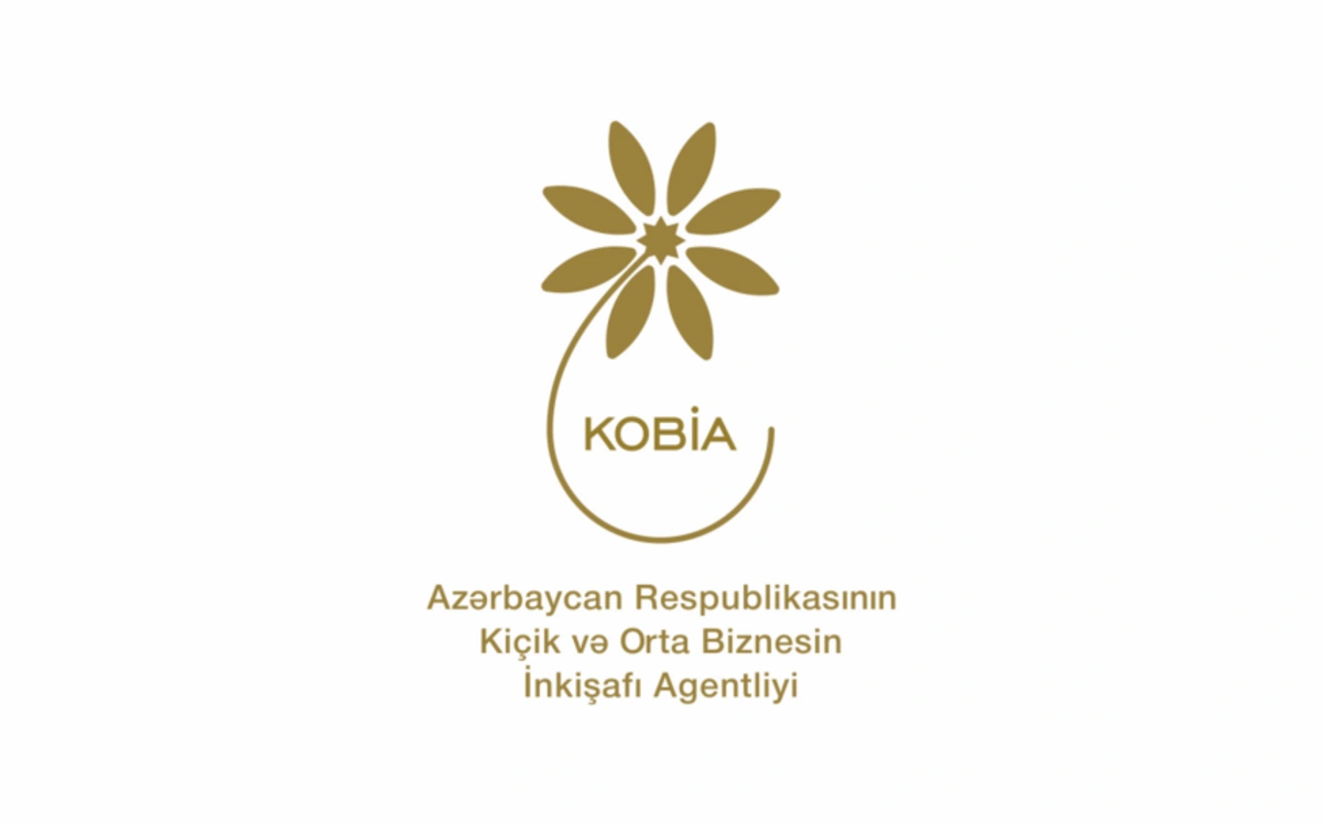 KOBİA: "Orta və kiçik sahibkarlara verilən kreditlər azalıb"